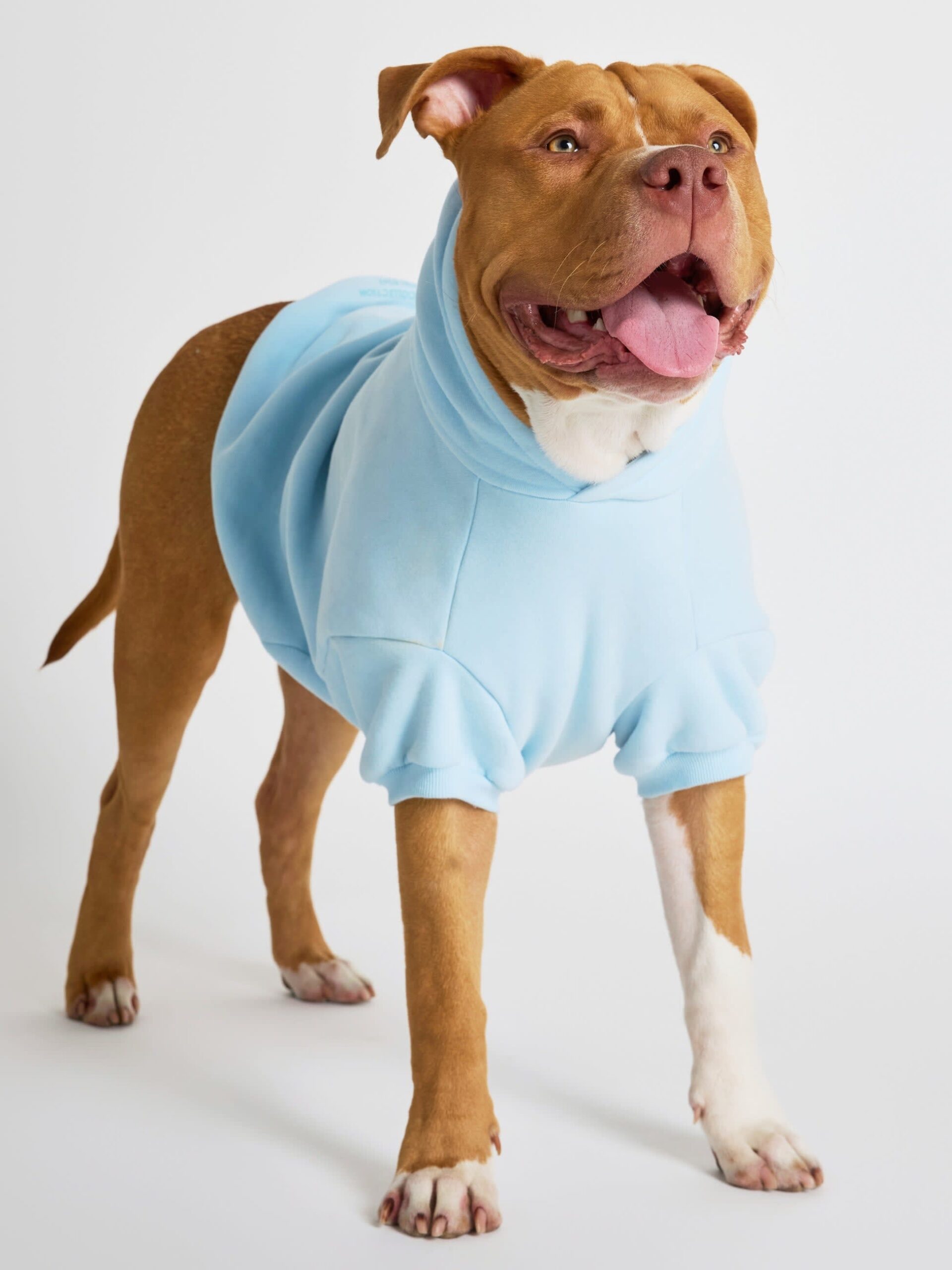 Pastel Paw Hoodie